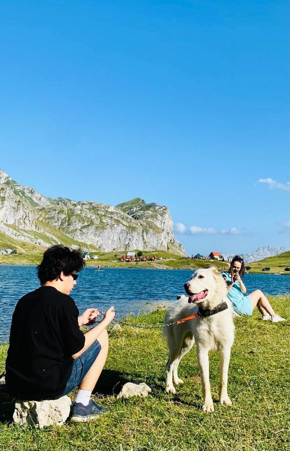 Kapetanovo Jezero Bungalov Bed & Breakfast Подгорица Екстериор снимка