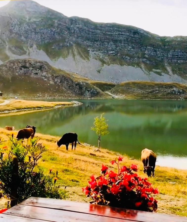 Kapetanovo Jezero Bungalov Bed & Breakfast Подгорица Екстериор снимка